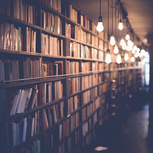 Le livre du mois